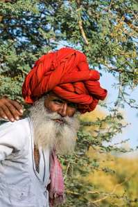 Rabari herdsman in Rajasthan